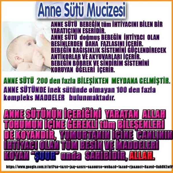 ALLAH ın delilleri,ALLAH, #ALLAH, allah-delilleri, allahin-delilleri, allahin delilleri, allah in varlığının delilleri,