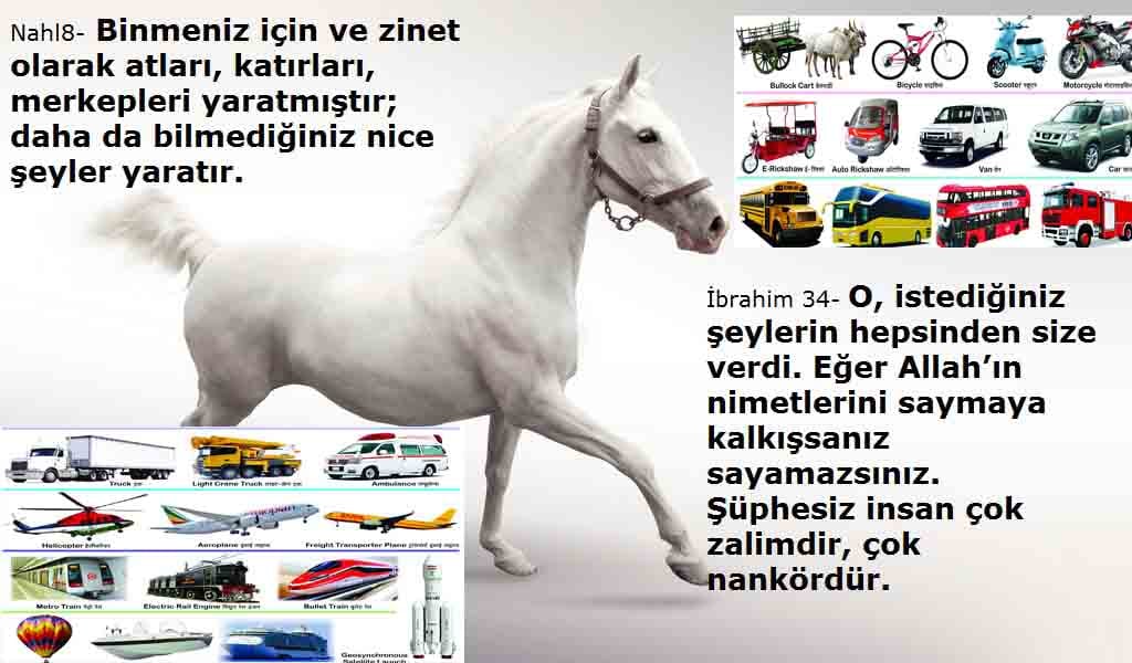 ALLAH, #ALLAH, allah-delilleri, allahin-delilleri, allahin delilleri, allah in varlığının delilleri,
