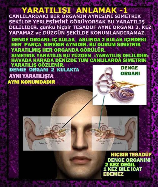 ALLAH, #ALLAH, allah-delilleri, allahin-delilleri, allahin delilleri, allah in varlığının delilleri, allahin varlığınin delilleri, allah var, @allahvar, @allah-delilleri, #allah-delil, #allahin-delilleri, allahin varlığını nasıl anlayabilirim?
