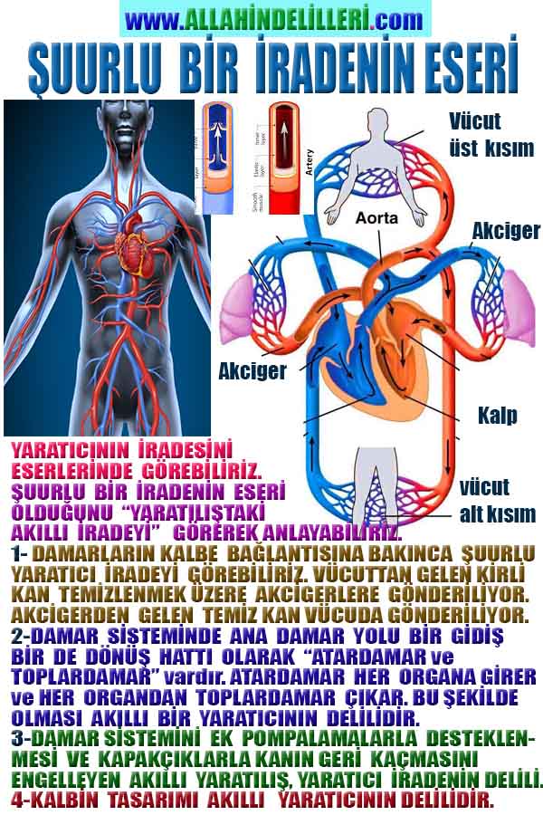 ALLAH, #ALLAH, allah-delilleri, allahin-delilleri, allahin delilleri, allah in varlığının delilleri,