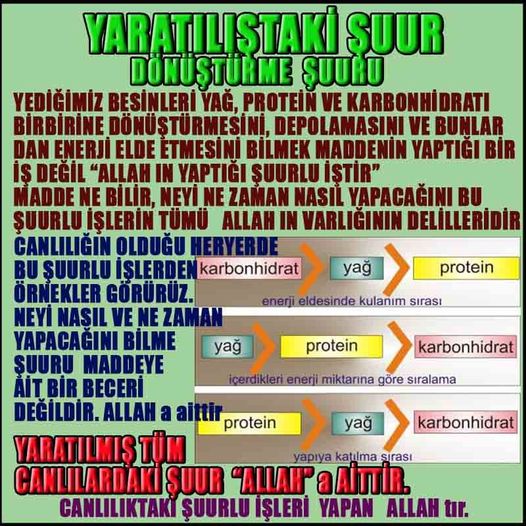 ALLAH, #ALLAH, allah-delilleri, allahin-delilleri, allahin delilleri, allah in varlığının delilleri, allahin varlığınin delilleri, allah var, @allahvar, @allah-delilleri, #allah-delil, #allahin-delilleri, allahin varlığını nasıl anlayabilirim?