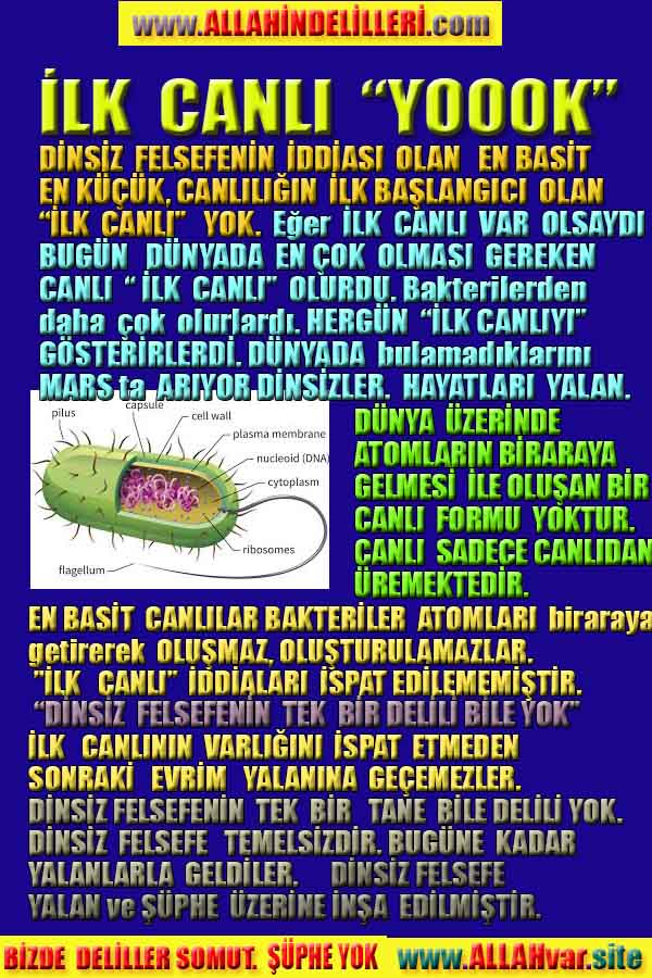 ALLAH ın delilleri,ALLAH, #ALLAH, allah-delilleri, allahin-delilleri, allahin delilleri, allah in varlığının delilleri,