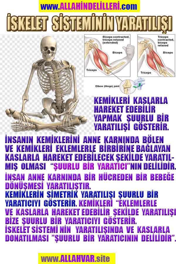 ALLAH, #ALLAH, allah-delilleri, allahin-delilleri, allahin delilleri, allah in varlığının delilleri, allahin varlığınin delilleri, allah var, @allahvar, @allah-delilleri, #allah-delil, #allahin-delilleri, allahin varlığını nasıl anlayabilirim?