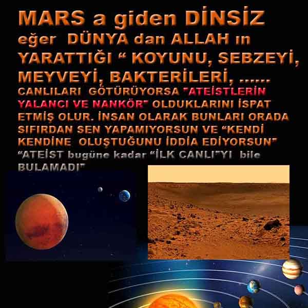 ALLAH ın delilleri,ALLAH, #ALLAH, allah-delilleri, allahin-delilleri, allahin delilleri, allah in varlığının delilleri,