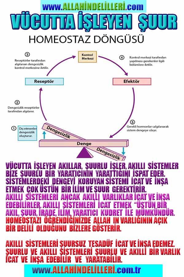 ALLAH, #ALLAH, allah-delilleri, allahin-delilleri, allahin delilleri, allah in varlığının delilleri,