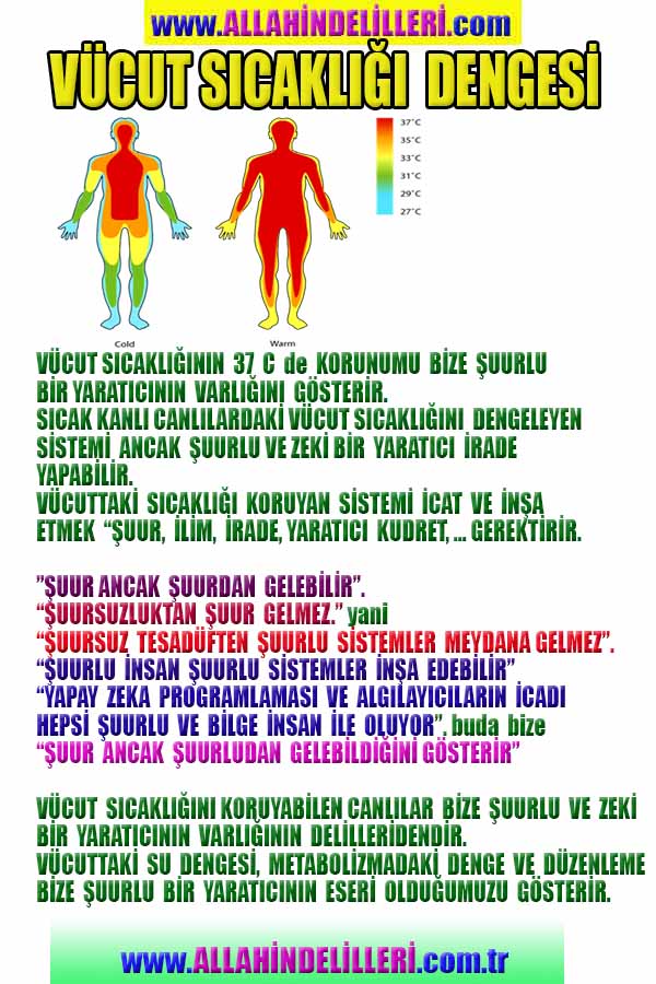 ALLAH ın delilleri,ALLAH, #ALLAH, allah-delilleri, allahin-delilleri, allahin delilleri, allah in varlığının delilleri,